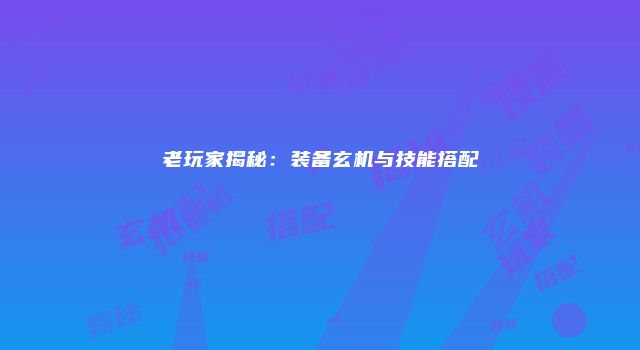 老玩家揭秘:装备玄机与技能搭配