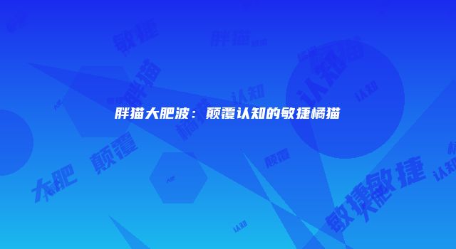 胖猫大肥波:颠覆认知的敏捷橘猫