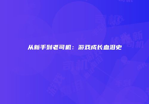 从新手到老司机:游戏成长血泪史
