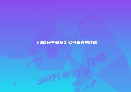 《3D开车教室》老司机养成攻略