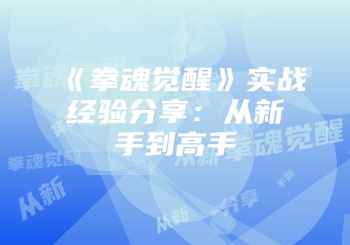 《拳魂觉醒》实战经验分享：从新手到高手