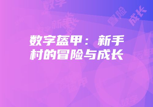 数字盔甲：新手村的冒险与成长