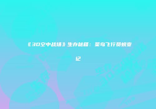 《3D空中战场》生存秘籍：菜鸟飞行员蜕变记