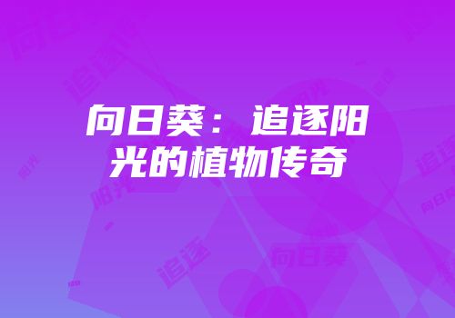 向日葵：追逐阳光的植物传奇