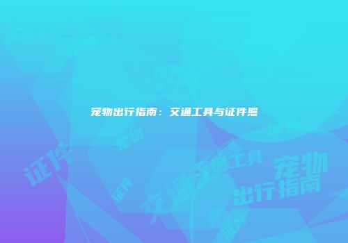 宠物出行指南:交通工具与证件照