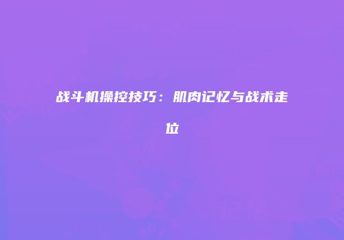 战斗机操控技巧：肌肉记忆与战术走位