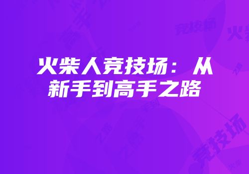 火柴人竞技场：从新手到高手之路