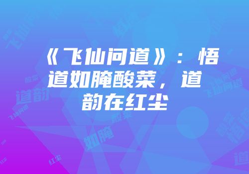 《飞仙问道》：悟道如腌酸菜，道韵在红尘