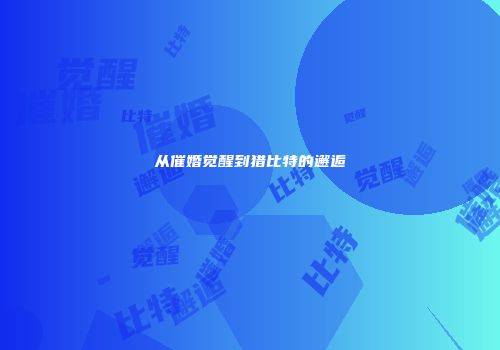 从催婚觉醒到猎比特的邂逅