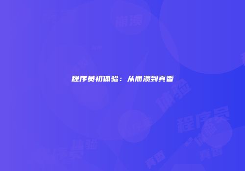 程序员初体验：从崩溃到真香
