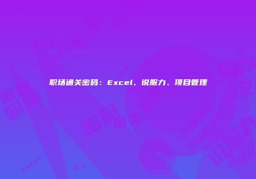 职场通关密码：Excel、说服力、项目管理
