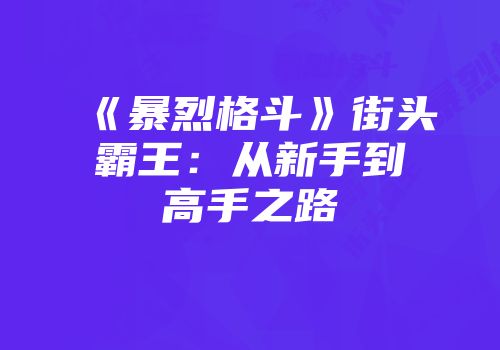 《暴烈格斗》街头霸王：从新手到高手之路