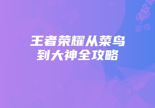 王者荣耀从菜鸟到大神全攻略