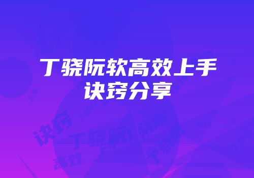 丁骁阮软高效上手诀窍分享