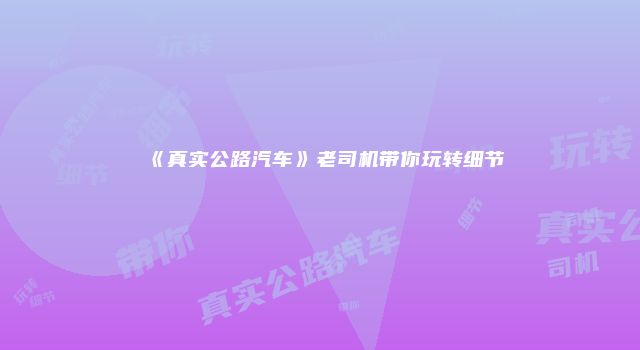 《真实公路汽车》老司机带你玩转细节