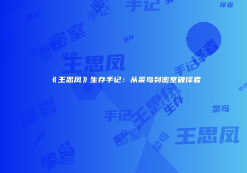 《王思凤》生存手记：从菜鸟到密室破译者