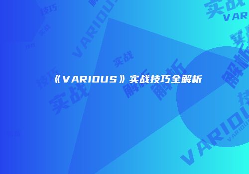 《VARIOUS》实战技巧全解析