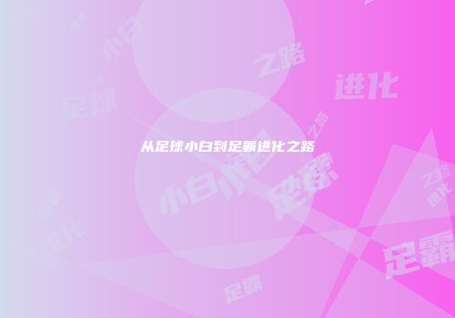 从足球小白到足霸进化之路
