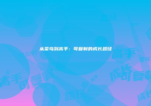 从菜鸟到高手：可复制的成长路径