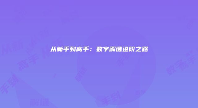 从新手到高手：数字解谜进阶之路