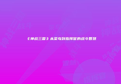 《神战三国》从菜鸟到指挥官的战斗智慧