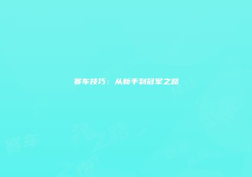 赛车技巧：从新手到冠军之路