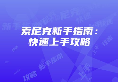 索尼克新手指南：快速上手攻略