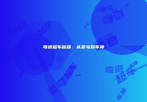 弯道超车秘籍：从菜鸟到车神