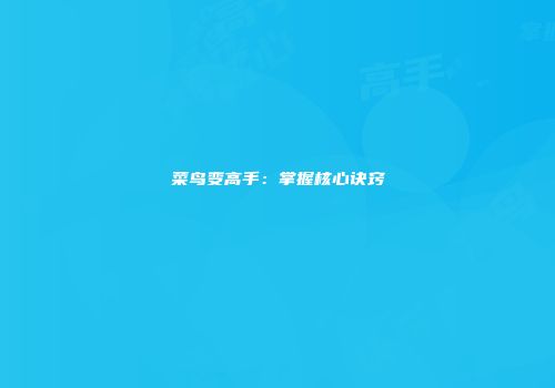 菜鸟变高手：掌握核心诀窍