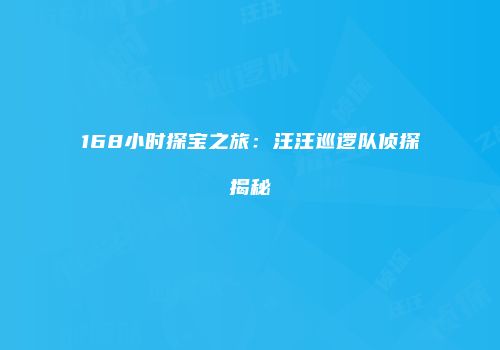 168小时探宝之旅：汪汪巡逻队侦探揭秘