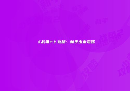 《战龟2》攻略：新手少走弯路