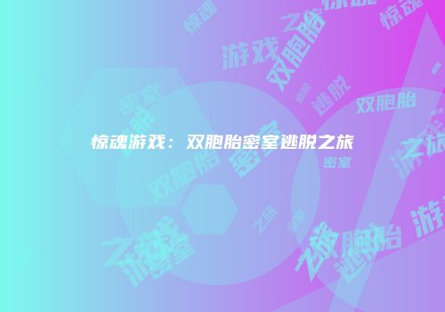 惊魂游戏：双胞胎密室逃脱之旅