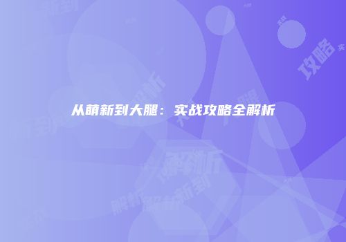 从萌新到大腿：实战攻略全解析