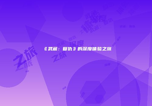 《武藏：复仇》的深度体验之旅