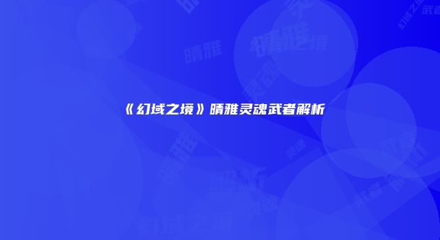 《幻域之境》晴雅灵魂武者解析