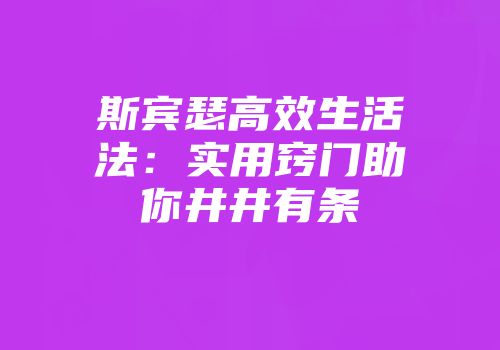 斯宾瑟高效生活法:实用窍门助你井井有条