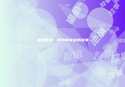 池塘猫鱼:跨物种友谊的故事