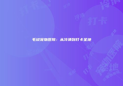 毛绒宠物医院：从冷清到打卡圣地
