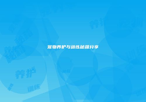 宠物养护与训练秘籍分享