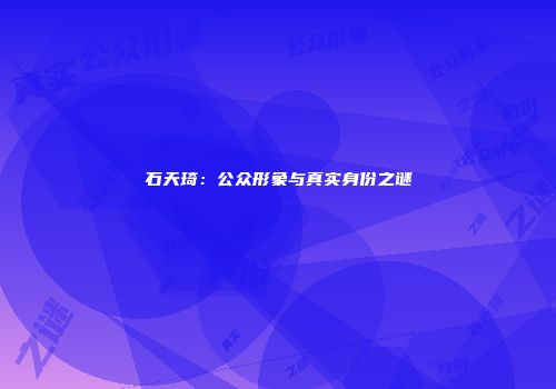 石天琦:公众形象与真实身份之谜