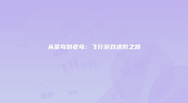 从菜鸟到老鸟：飞行游戏进阶之路