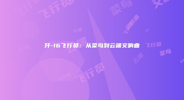 歼-16飞行员:从菜鸟到云端交响曲