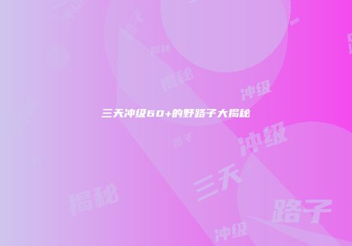 三天冲级60+的野路子大揭秘