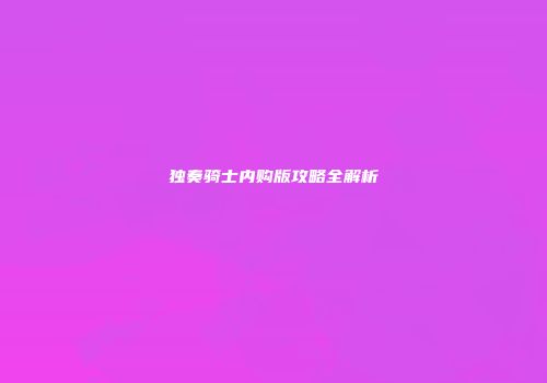 独奏骑士内购版攻略全解析