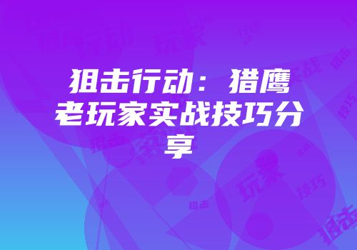 狙击行动:猎鹰老玩家实战技巧分享