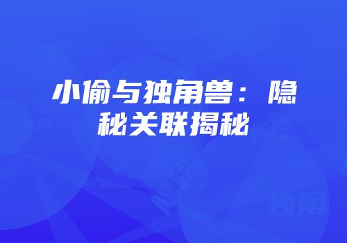 小偷与独角兽：隐秘关联揭秘