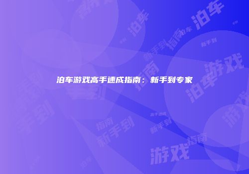 泊车游戏高手速成指南：新手到专家