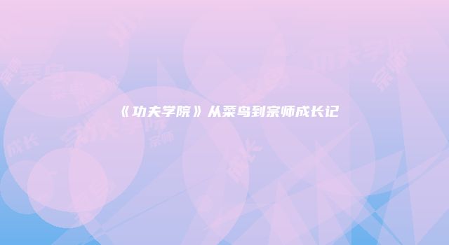 《功夫学院》从菜鸟到宗师成长记