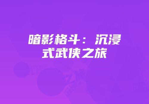 暗影格斗：沉浸式武侠之旅