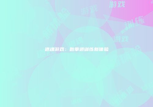 道魂游戏：跆拳道训练新体验